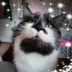 Meet your Posher, Sherry